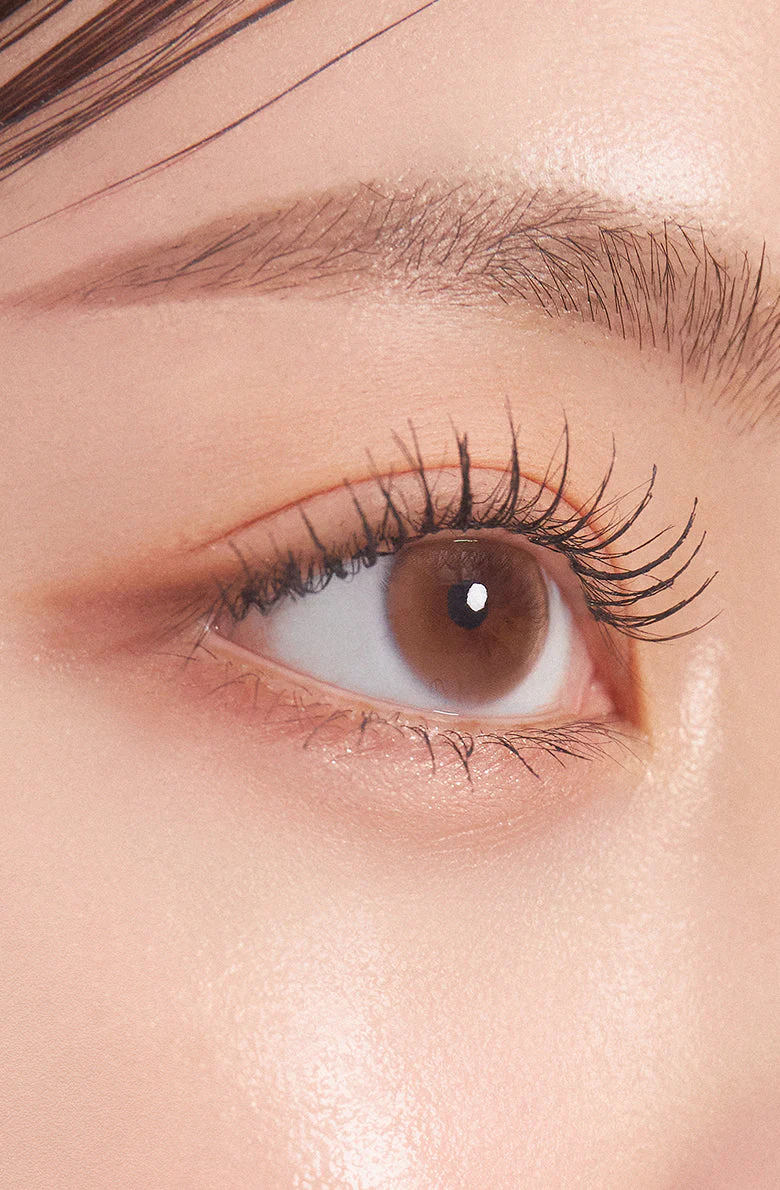 Dewy Kristin Basic (12.0) - Brown - Image 15