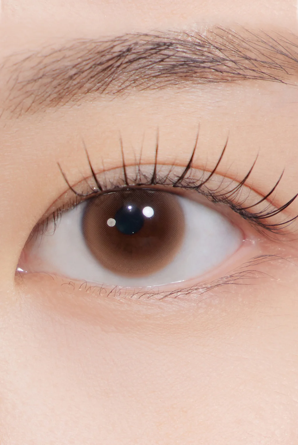 Dewy Kristin Basic (12.0) - Brown - Image 2
